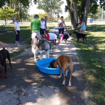 Staler Maloof Dog Park photo 2
